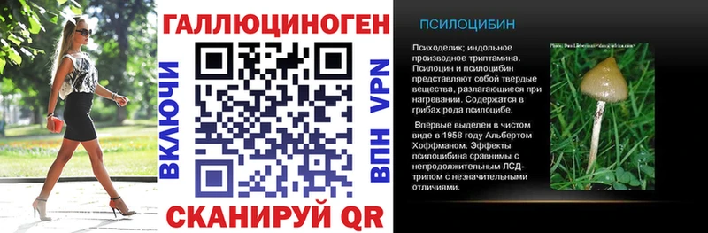 Купить где  Кубинка  Псилоцибиновые грибы GOLDEN TEACHER 